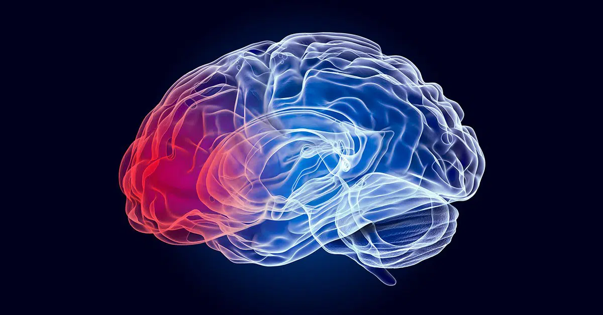 El uso del CBD en lesiones cerebrales